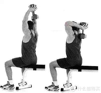 4,哑铃颈后臂屈伸