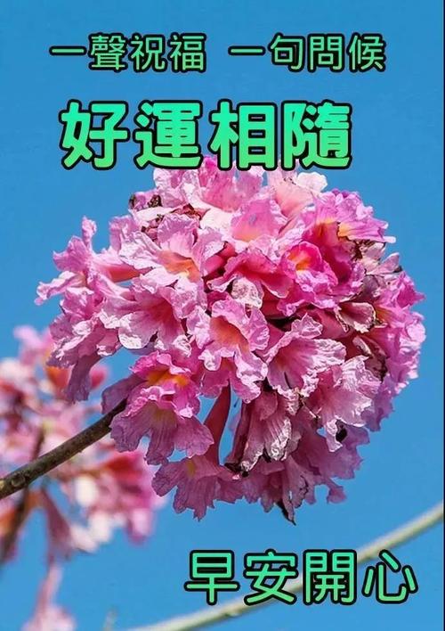 早上好朋友,最新漂亮早安问候语图片,最美早上好动态图片带字