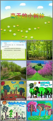 大班美术活动春天的小树林ppt课件
