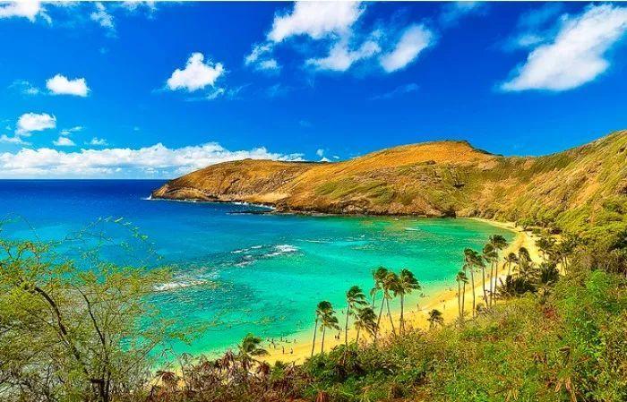 比一个666,说一句aloha,用地道的夏威夷方式开启瑞犬