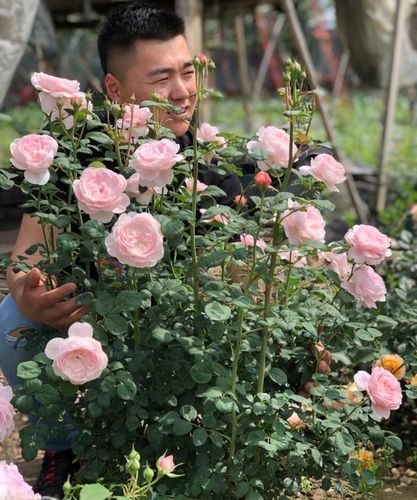 岁月静好园艺:不服不行!颜值担当—瑞典女王_高清图集_新浪网