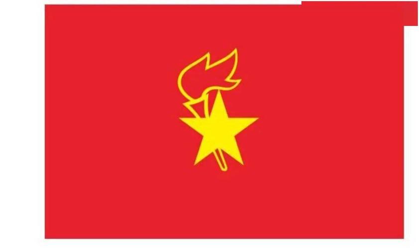 中国少年先锋队队旗那就是星星火炬组成的在校园中由你们托举有这么