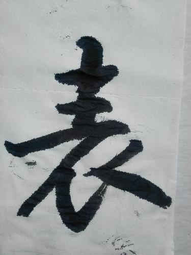 书法好不好,师友表一表;诚挚批与评,你我心中明.书协几级水平