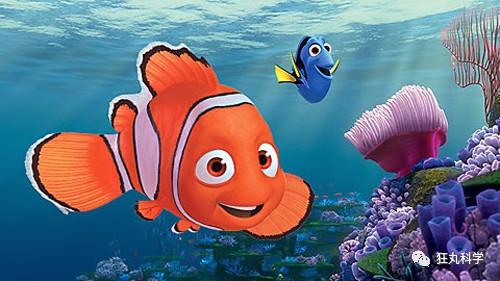 全村人排队等着去变性?我以后再也没法直视《海底总动员》了