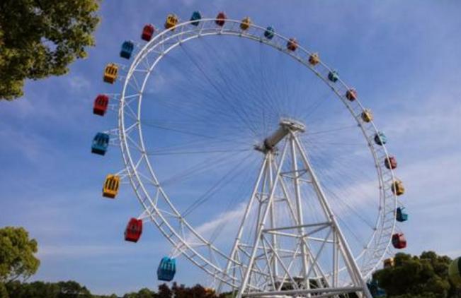 【dg】大连森林动物园游乐场摩天轮日场儿童票