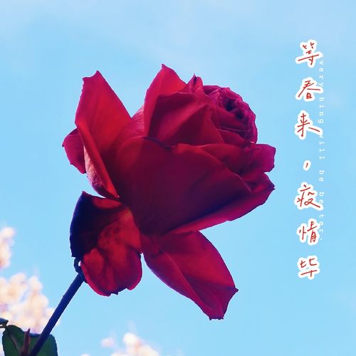 共抗疫情 感谢有你