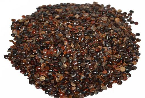 枳椇子的功效能协助治疗多种多样疾病