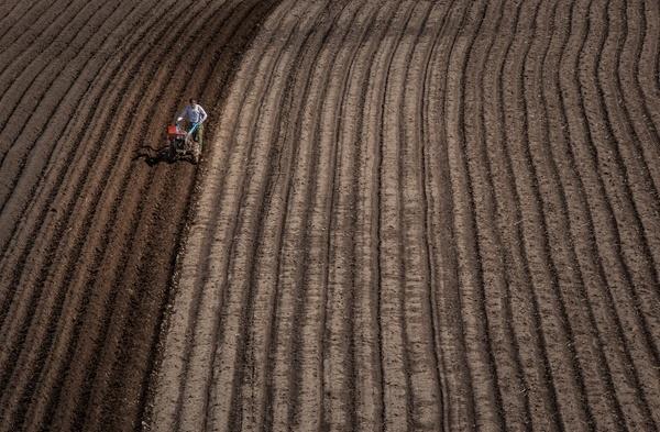 中国科学院发布国内首部东北黑土地白皮书 如何保护"耕地中的大熊猫"?