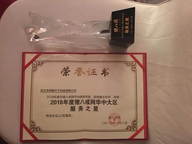 2018猪八戒网华中区服务之星花落网慧天下科技