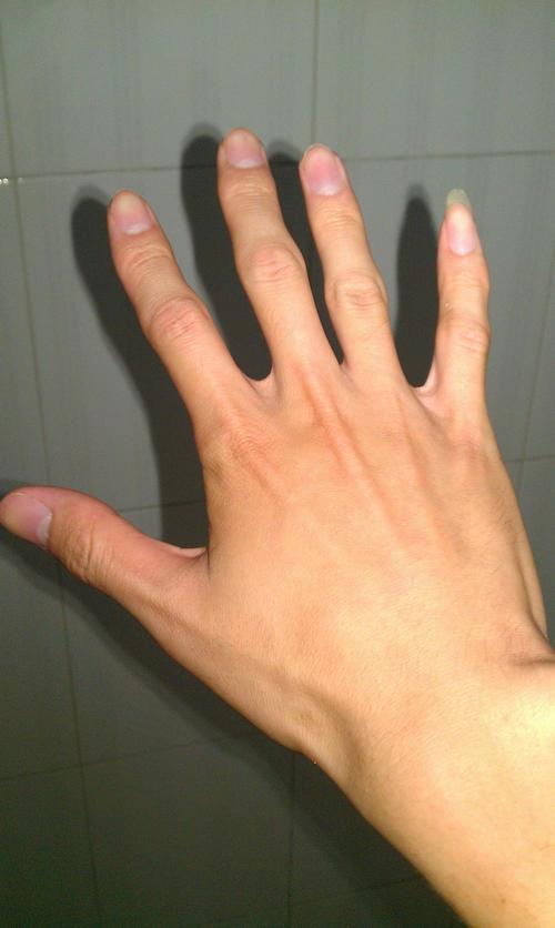 简笔画右手手背