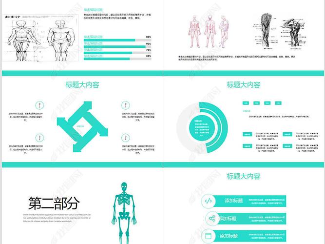 原创蓝色医疗医学人体结构动态ppt模板版权可商用