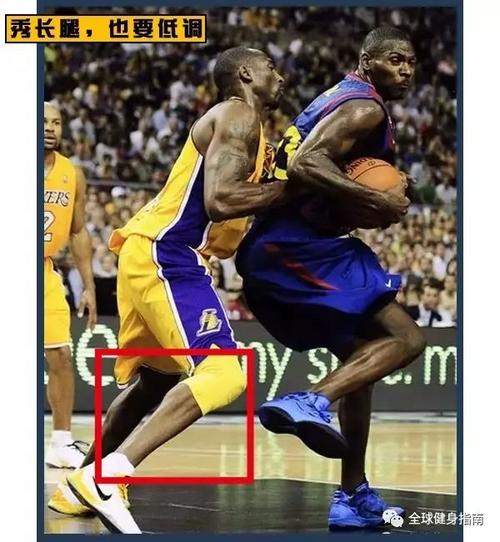 科比的跟腱长30cm,可能比很多人整条小腿的长度都要长.