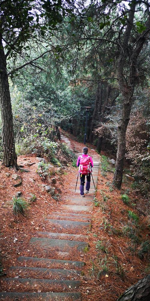 今天去江夏登山(日更)