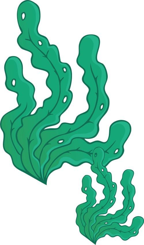 海带卡通手绘海带png元素