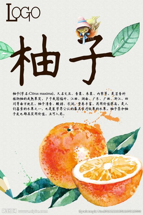 柚子图片