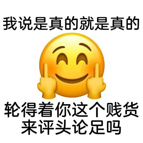 回应: 好兄弟只发表情包不说话骂人表情包收集楼