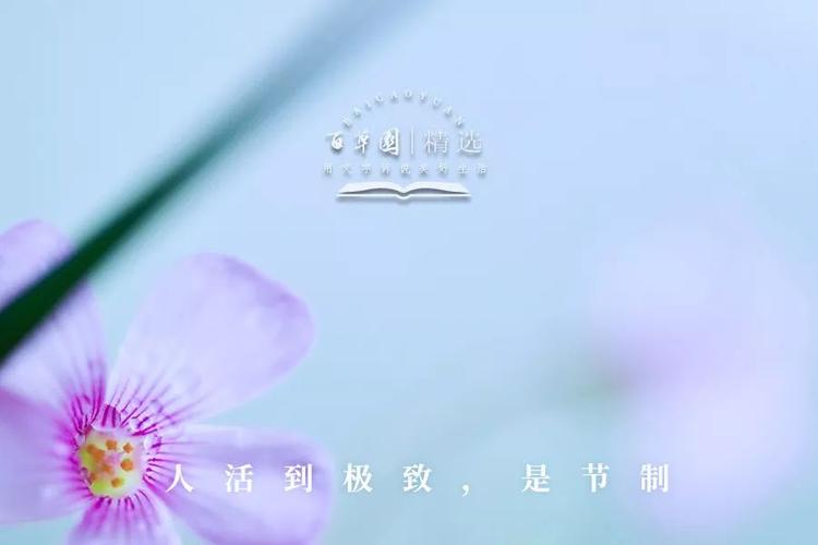 夜读:人活到极致,是节制