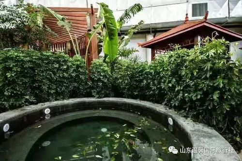 青州古城 博物馆 花卉市场 弘润温泉(赠送水世界)大巴二日游
