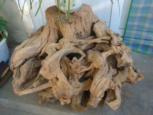 香椿根雕如何制做如何干燥处理