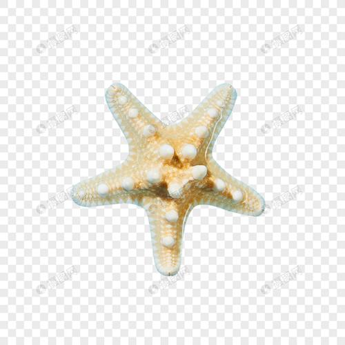 海星元素素材下载-正版素材401765851-摄图网