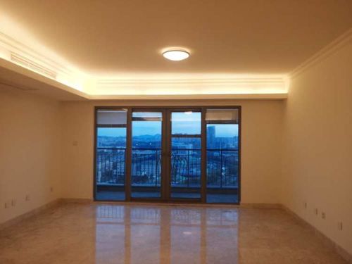 原开发商精装修客厅照片         