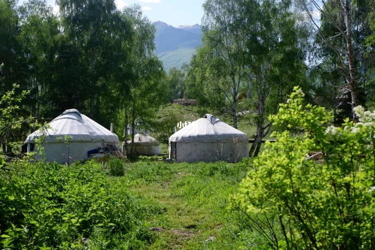 阿勒泰.禾木_客栈_景点_布尔津禾木青朴客栈攻略_风景