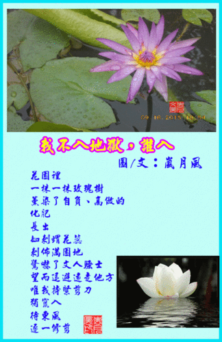 现代诗—我不入地狱,谁入