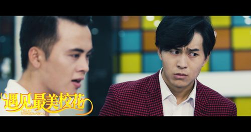 文鸿毅新作遇见最美校花即将上映令人期待