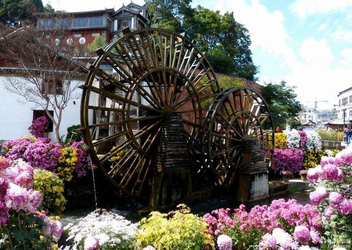 【云南旅游攻略】艳遇丽江之七——邂逅花城