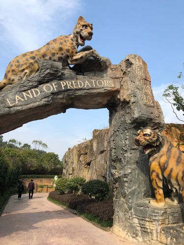 杭州野生动物园夜宿