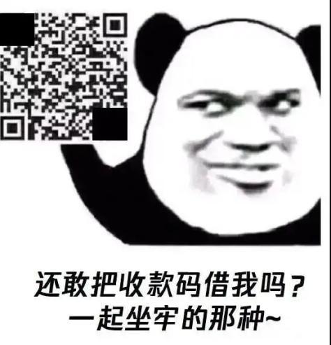 敢把收款码借我吗一起坐牢的那种!