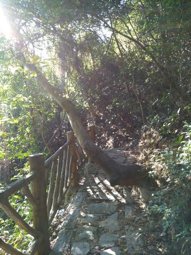 梧桐山老虎涧