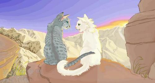 猫武士-----情侣集结(搬家) - 猫武士世界