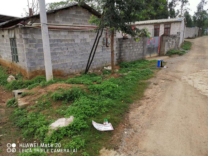 4点天气阴温度20度,龙刀手100克/桶,铁线草鬼针草马塘等杂草的实验