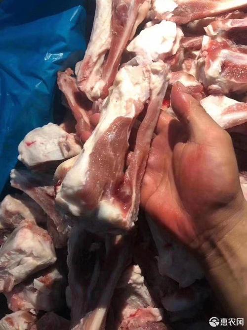 猪骨头 后肘骨肉不少现货