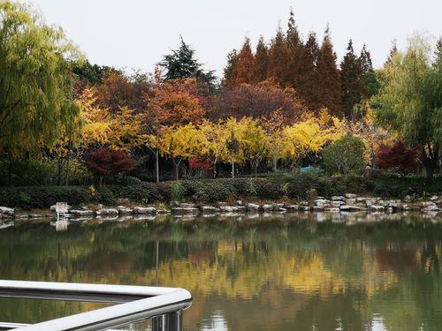 行走上海～金桥公园