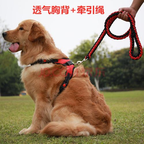【精选】遛狗狗牵引绳栓狗绳子狗链子小型中型大型犬金毛拉布拉多胸背