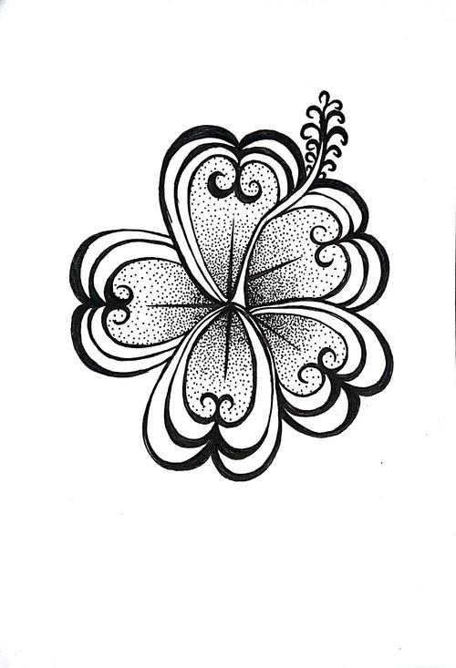 扶桑花――花卉练习