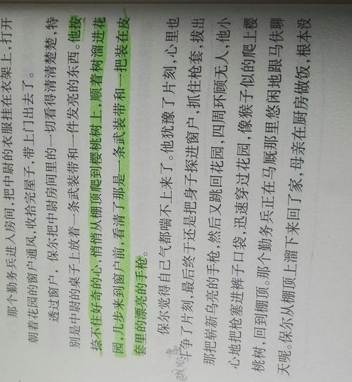 《钢铁是怎样炼成的》好句摘录