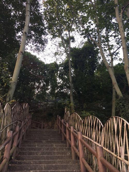 苏州树山生态村好玩吗,苏州树山生态村景点怎么样