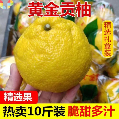 柚子湖南新鲜手剥雪峰象山怀化香桔柚春金贡桔子