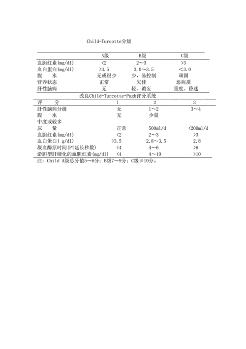 肝功能child分级表格.docx 2页