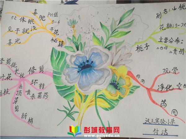 思维导图让创新引领你我汉王实验小学举办教师思维导图绘制比赛