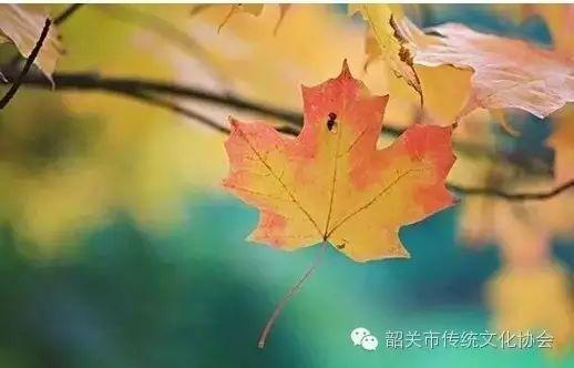不要嫌弃老人!照顾年老的父母,是上天用心良苦的安排!