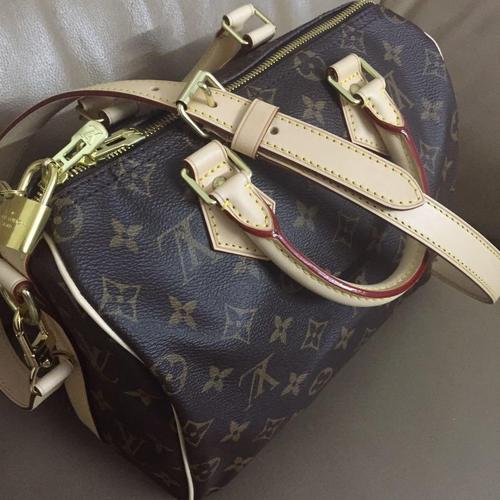 louis vuittonlv路易·威登老花speedy 25单肩包