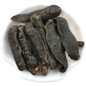 中药古今研究水蛭腾讯新闻