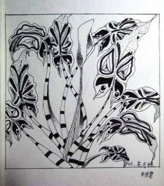 大班------植物变形课(10--15岁)