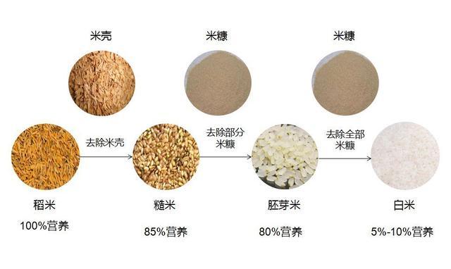 浅谈大米那点事-大米是不是垃圾食品?