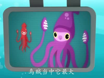 巨枪乌贼的简笔画