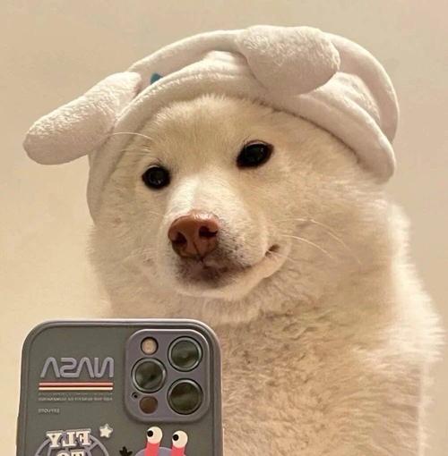 可可爱爱动物头像